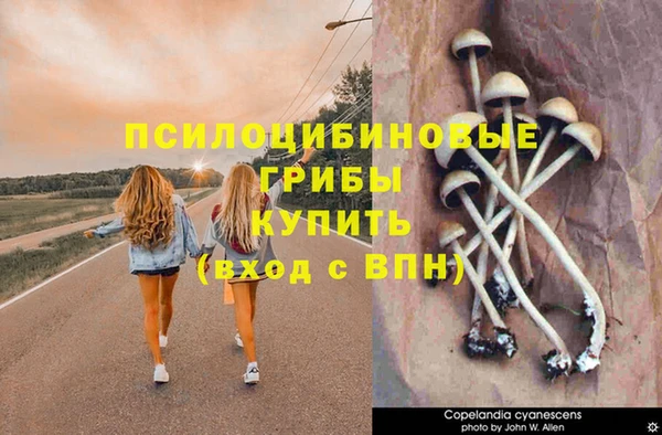 герыч Нея
