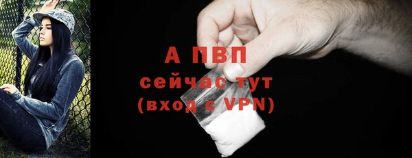 крисы Армянск
