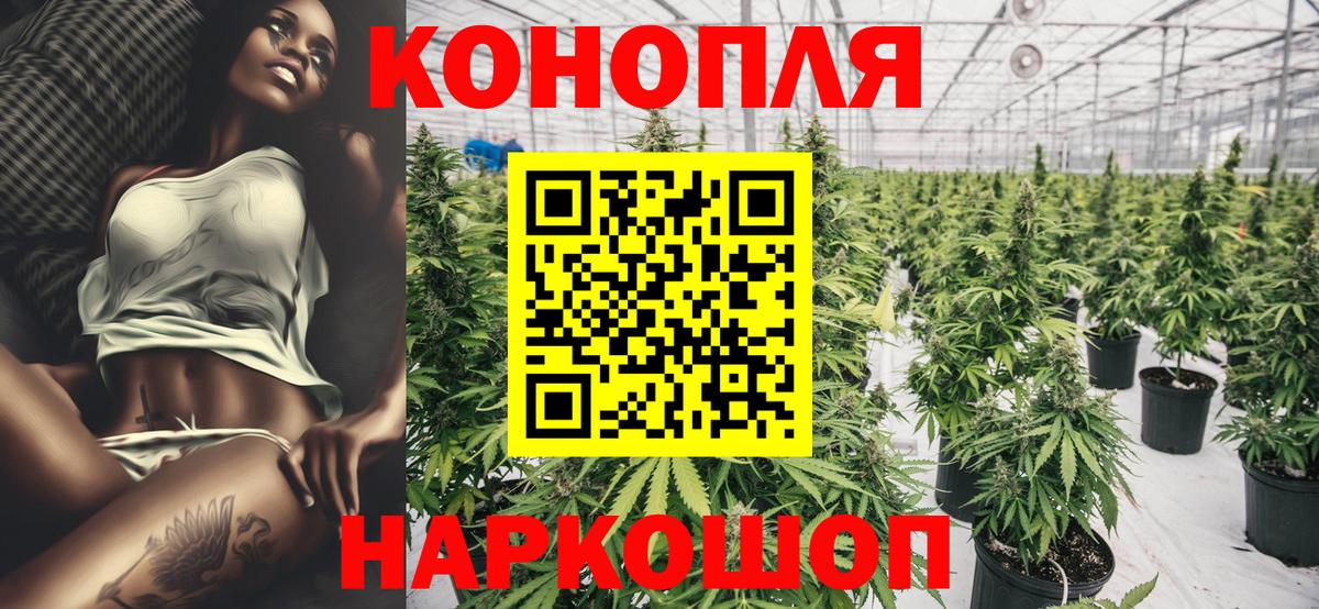 Бошки Шишки OG Kush Тавда